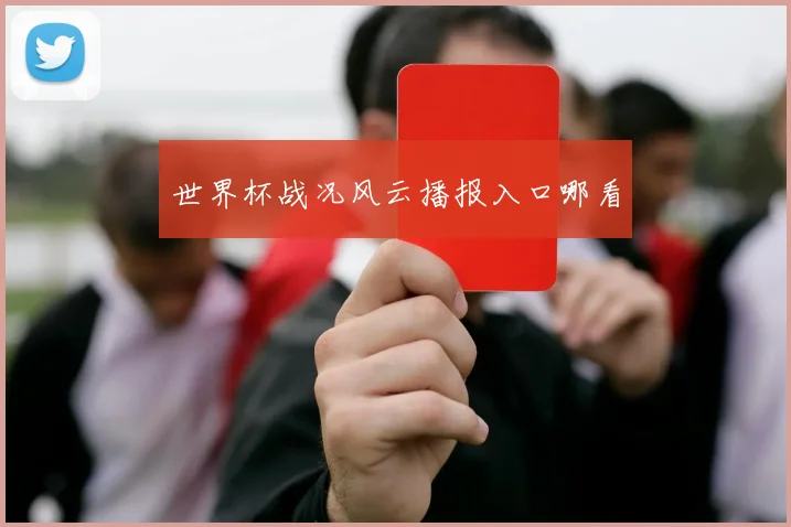 世界杯战况风云播报入口哪看