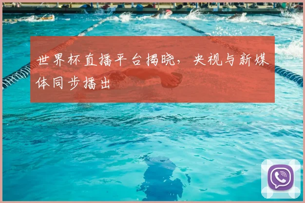 世界杯直播平台揭晓，央视与新媒体同步播出