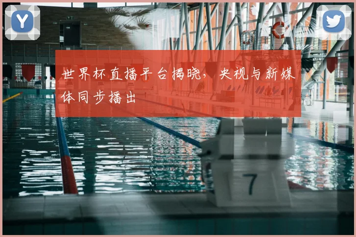 世界杯直播平台揭晓,央视与新媒体同步播出
