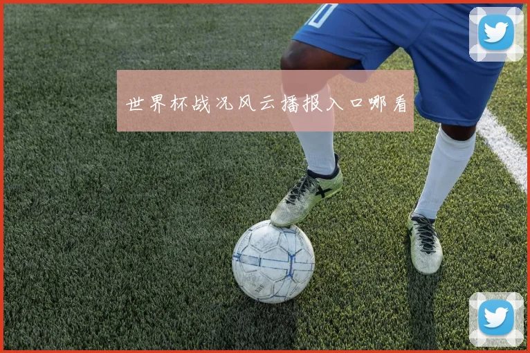 世界杯战况风云播报入口哪看